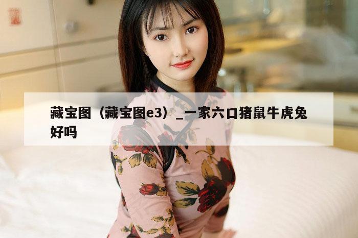 藏宝图（藏宝图e3）_一家六口猪鼠牛虎兔好吗